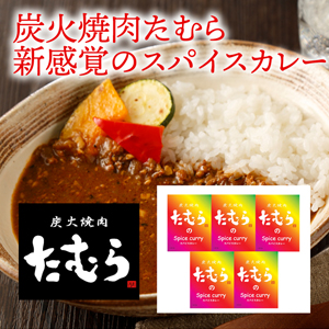 【メーカー直送】炭火焼肉たむら 新感覚のスパイスカレー【rm19p17001127】【簡易包装】