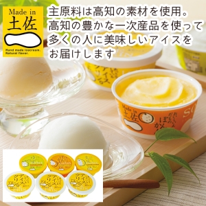 【メーカー直送】高知 Made in 土佐「南の国の高知アイス」高知アイスセット【rm25010fcc088】