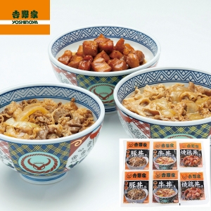 【メーカー直送】吉野家 いろいろ丼セット【rm25020fcc069】