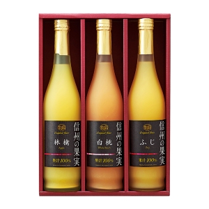 りんご村からのおくりもの 信州の果実 ジュースセット【rm25050fcc024】