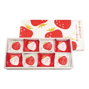 【メーカー直送】京都 養老軒 博多あまおう まるごと苺大福 YF-MB【rm26016fcd034】