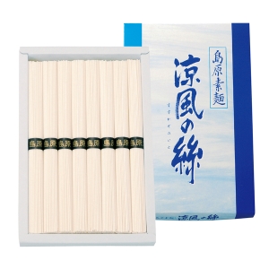 島原素麺 涼風の絲【rm25b198gc044】