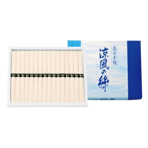 島原素麺 涼風の絲【rm25b198gc056】