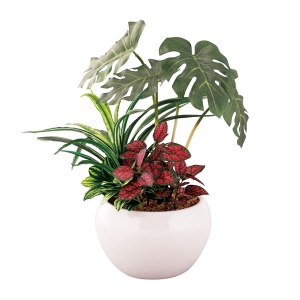 【メーカー直送】SC触媒加工 トロピカル寄せ植えポットモンステラ（フェイクグリーン）【一部地域配送不可】【rm25b087gc042】