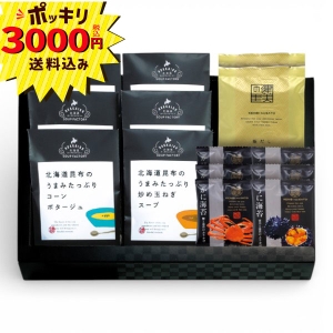 【3000円ポッキリ 送料無料】極だし&北海道昆布の旨みたっぷりスープB HKUS-B1【rm26c012gc011】