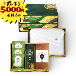 【5000円ポッキリ 送料無料】源茶舗select 宝乃菓 茶露の極み二段箱 B HRMW-B【rm26c016gc016】