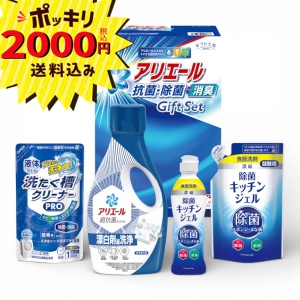 【2000円ポッキリ 送料無料】ギフト工房 アリエール抗菌除菌ギフト GPS-25H【rm26c116gc023】