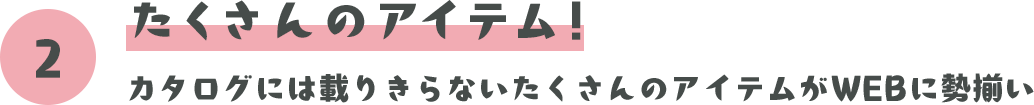 たくさんのアイテム！ カタログには載りきらないたくさんのアイテムがWEBに勢揃い