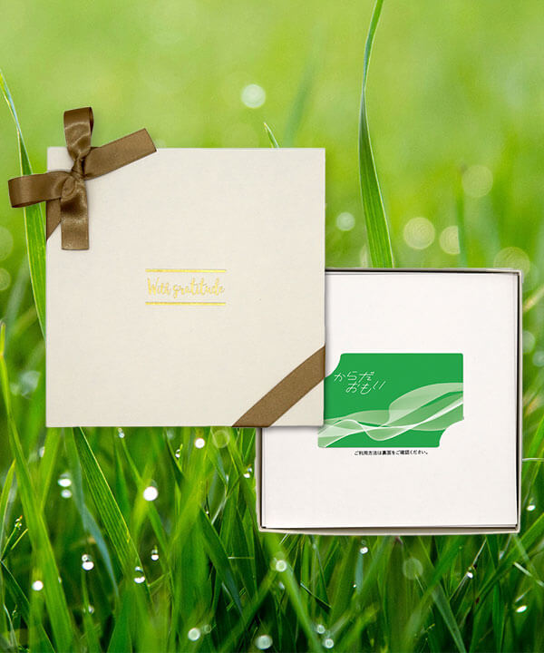 からだおもい(カードタイプ)